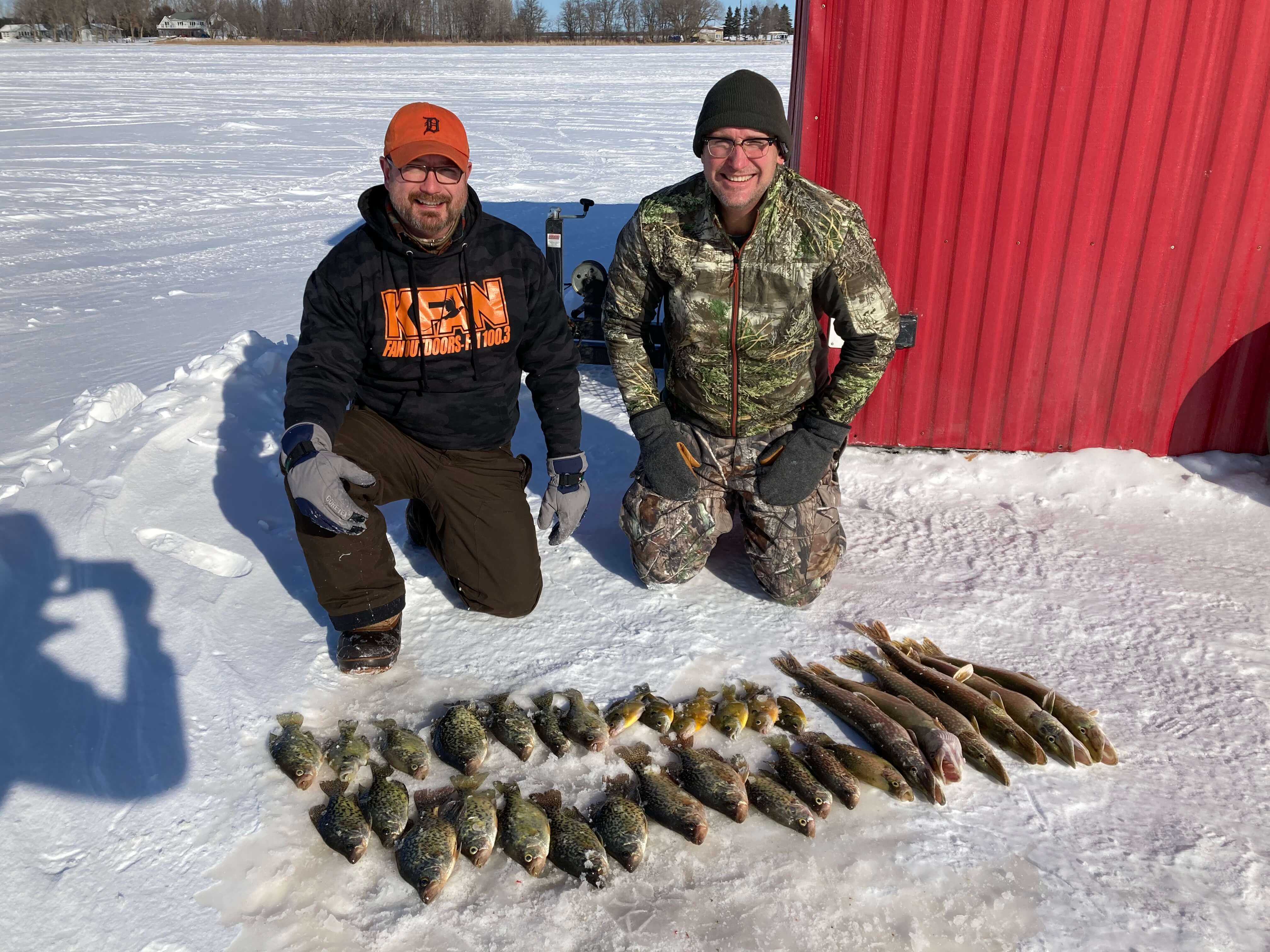 Ice fishing haul with bluegills and pike