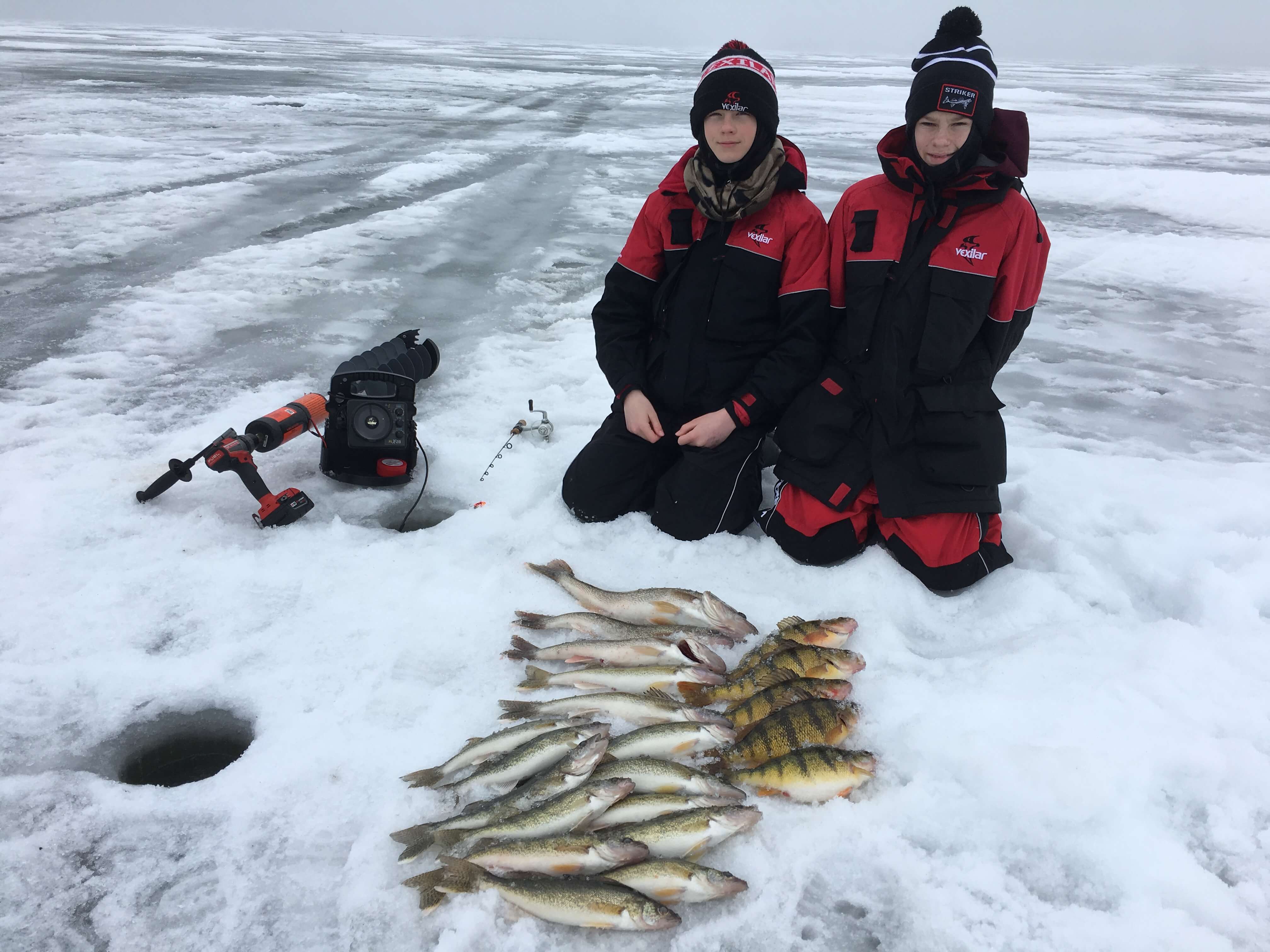 Two boys with walleye and perch on ice