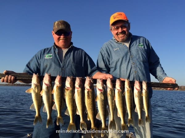 Walleye caught with Captain Josh Hagemeister