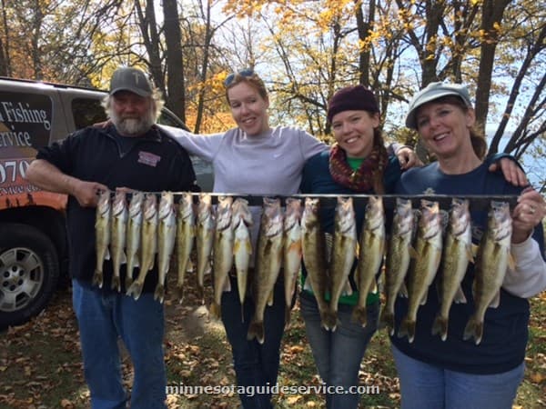 Guided walleye fishing trip with nice catch