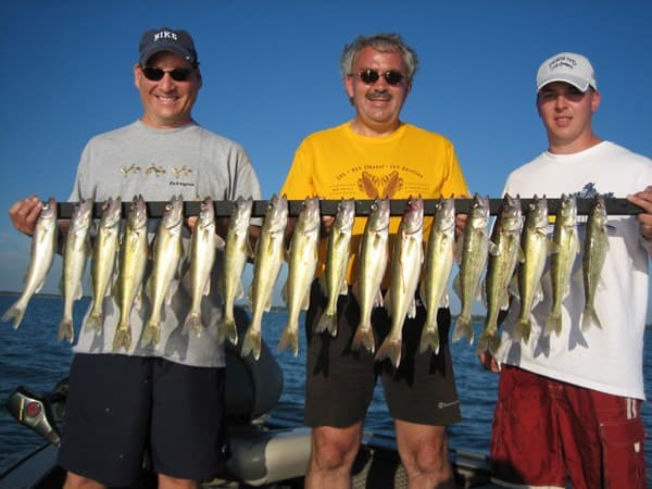Another great walleye on the boat