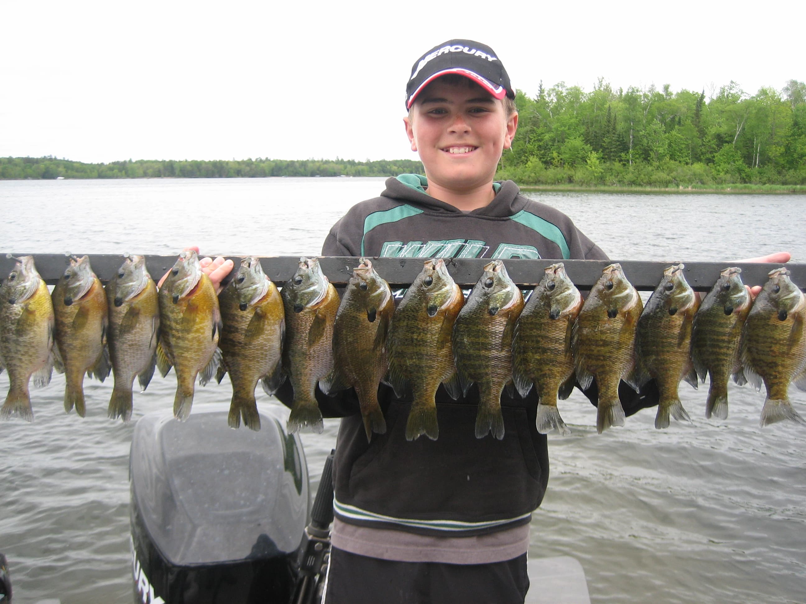 Bluegill caught on a Minnesota Guide Service trip