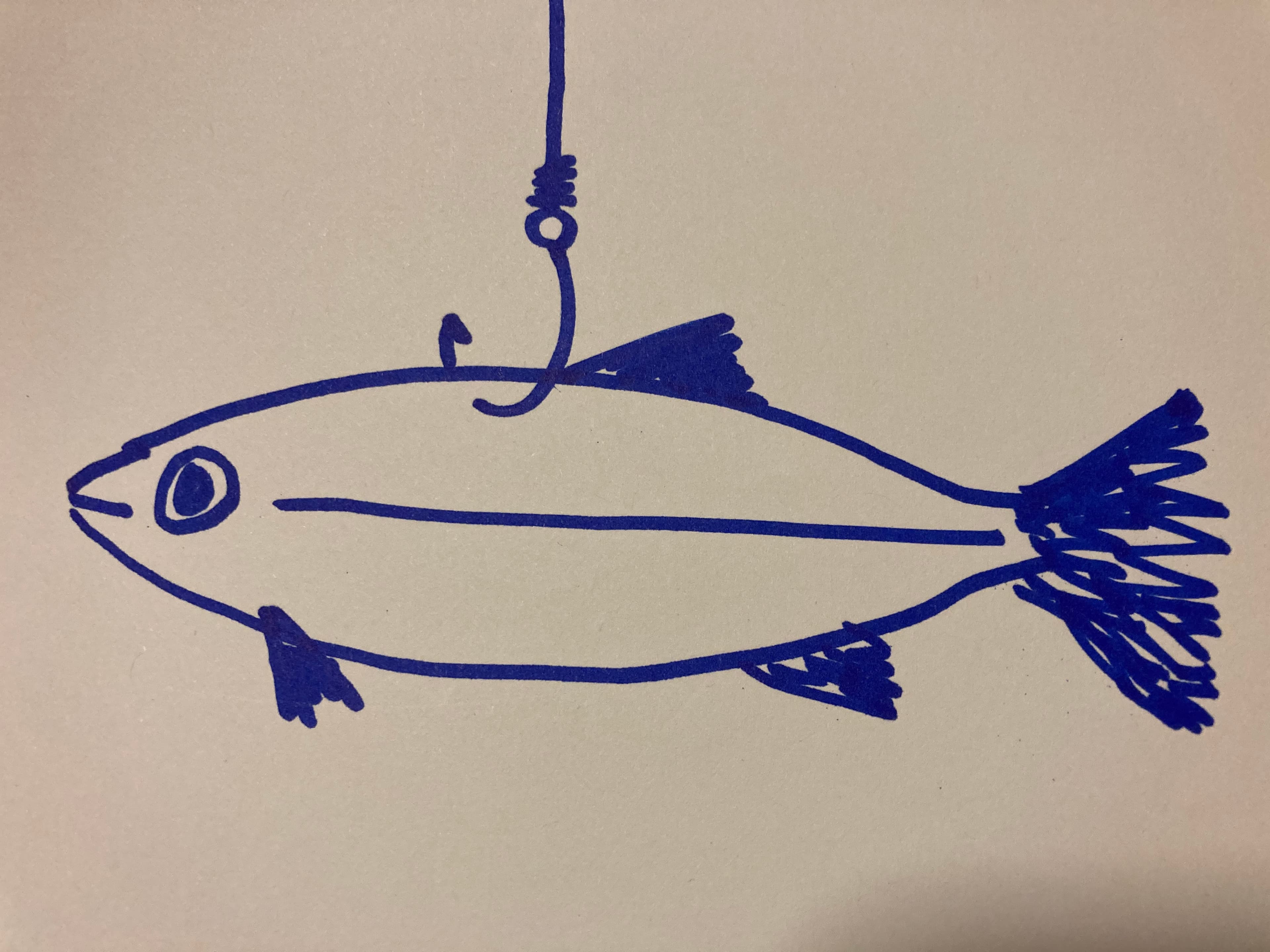 Fishing Tip: Increase Your Minnow’s Fish Catching Power