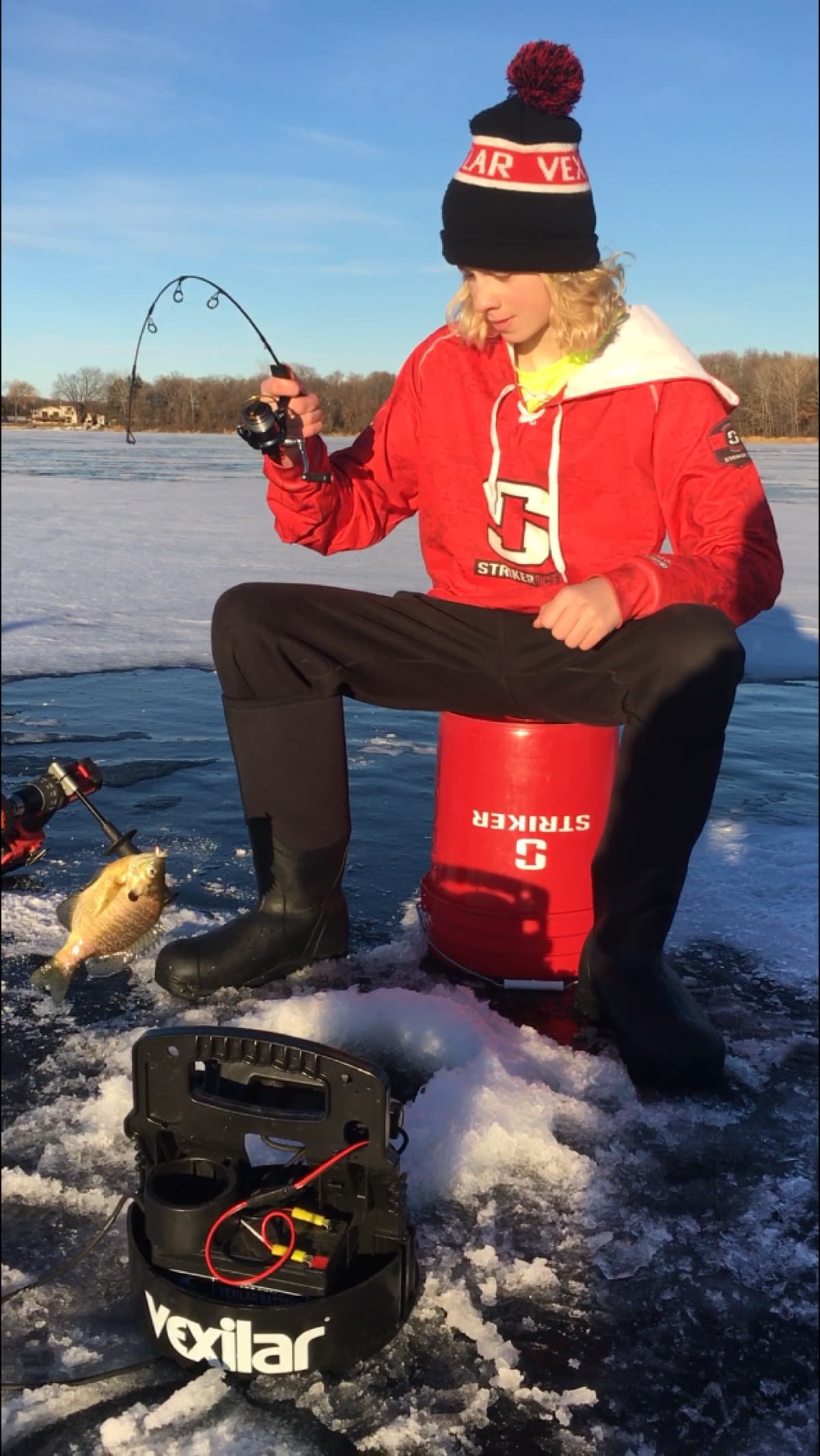 Will catching a bluegill in action
