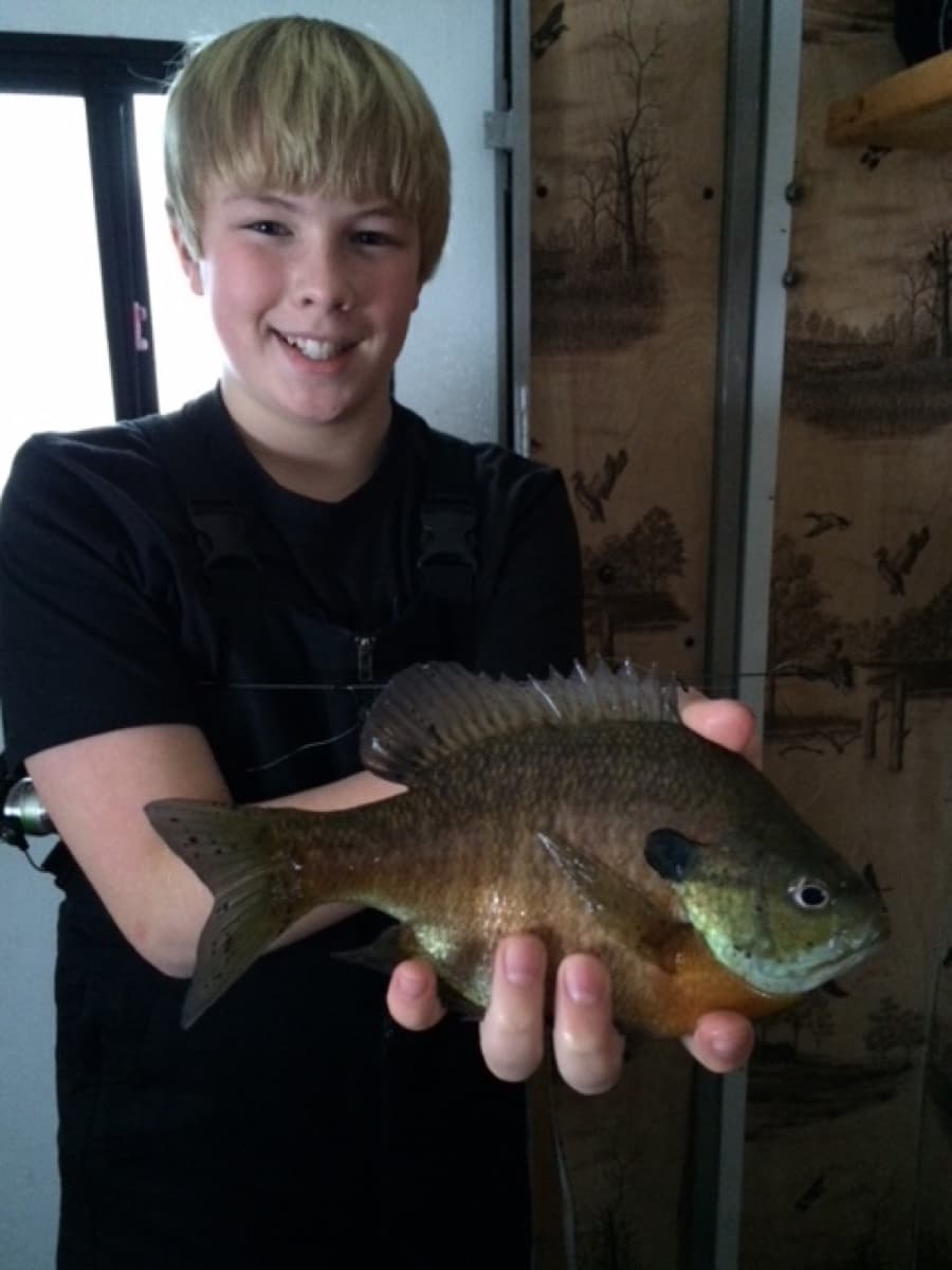 Bluegill caught in the Ridge ice house