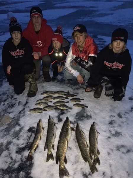 Boys with variety of fish ice fishing