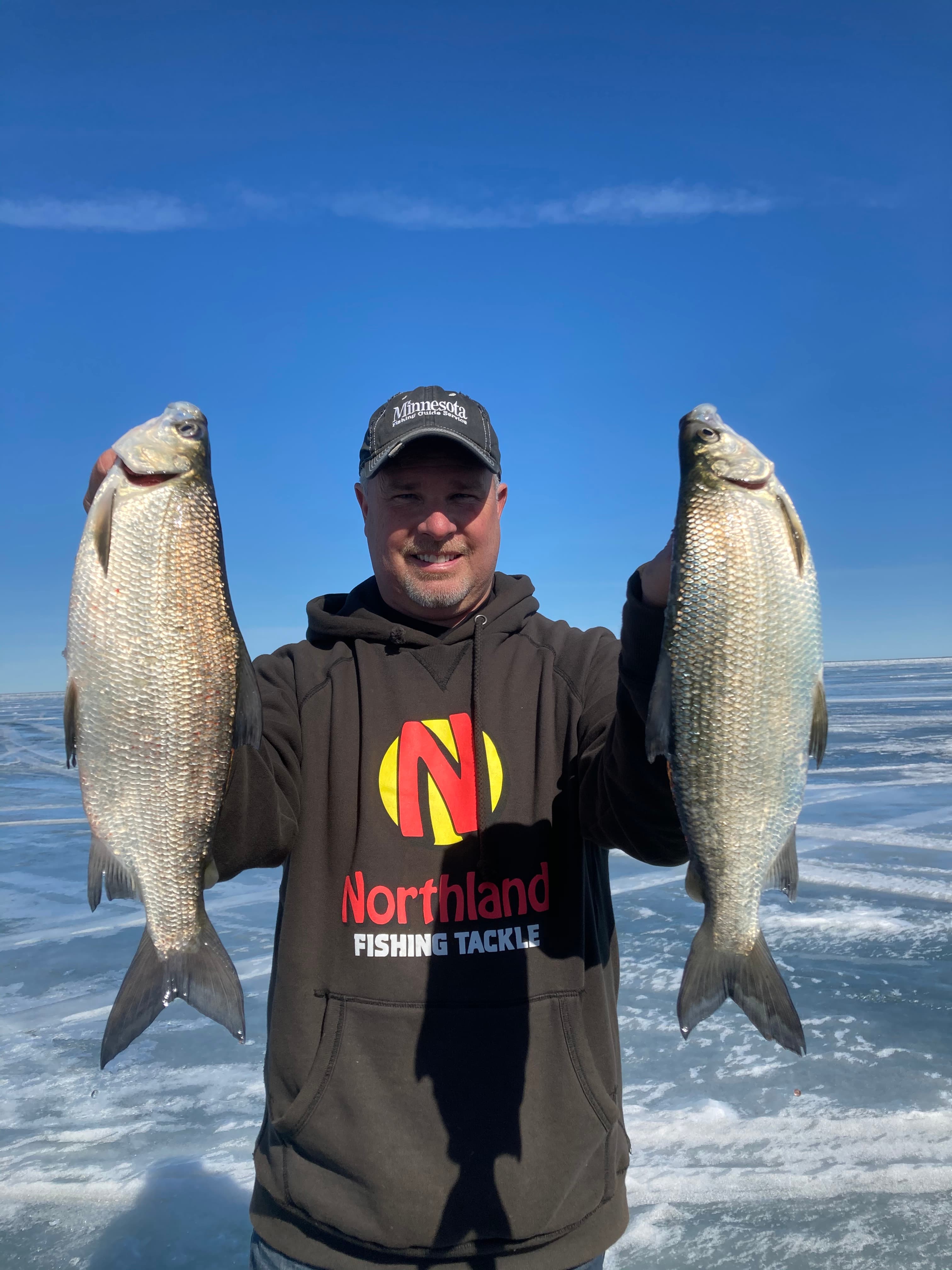 Tullibee caught on a Minnesota Guide Service trip